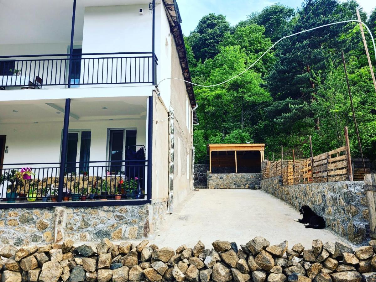 White House In Borjomi Hotel Exterior photo