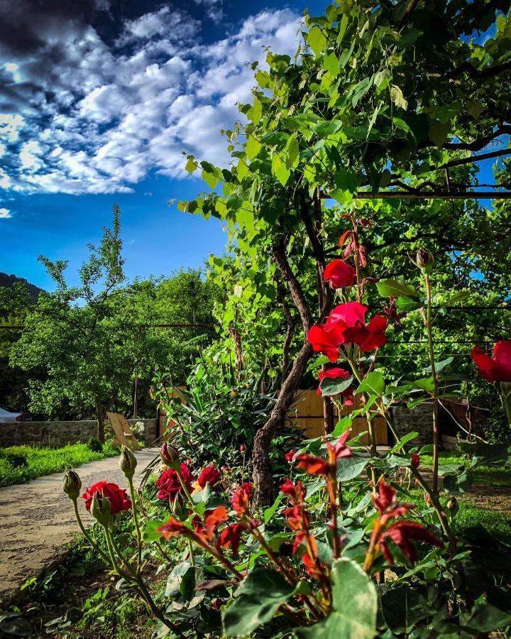 White House In Borjomi Hotel Exterior photo