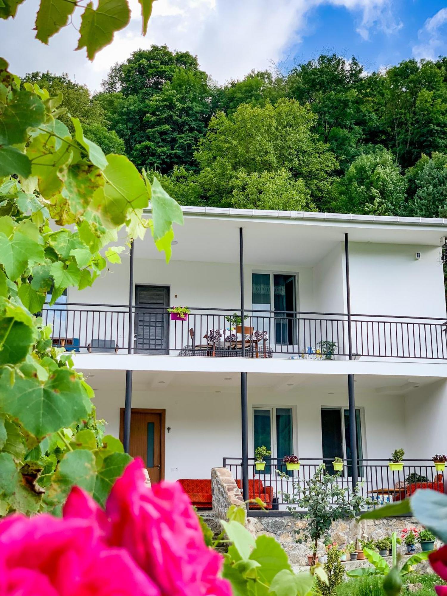 White House In Borjomi Hotel Exterior photo