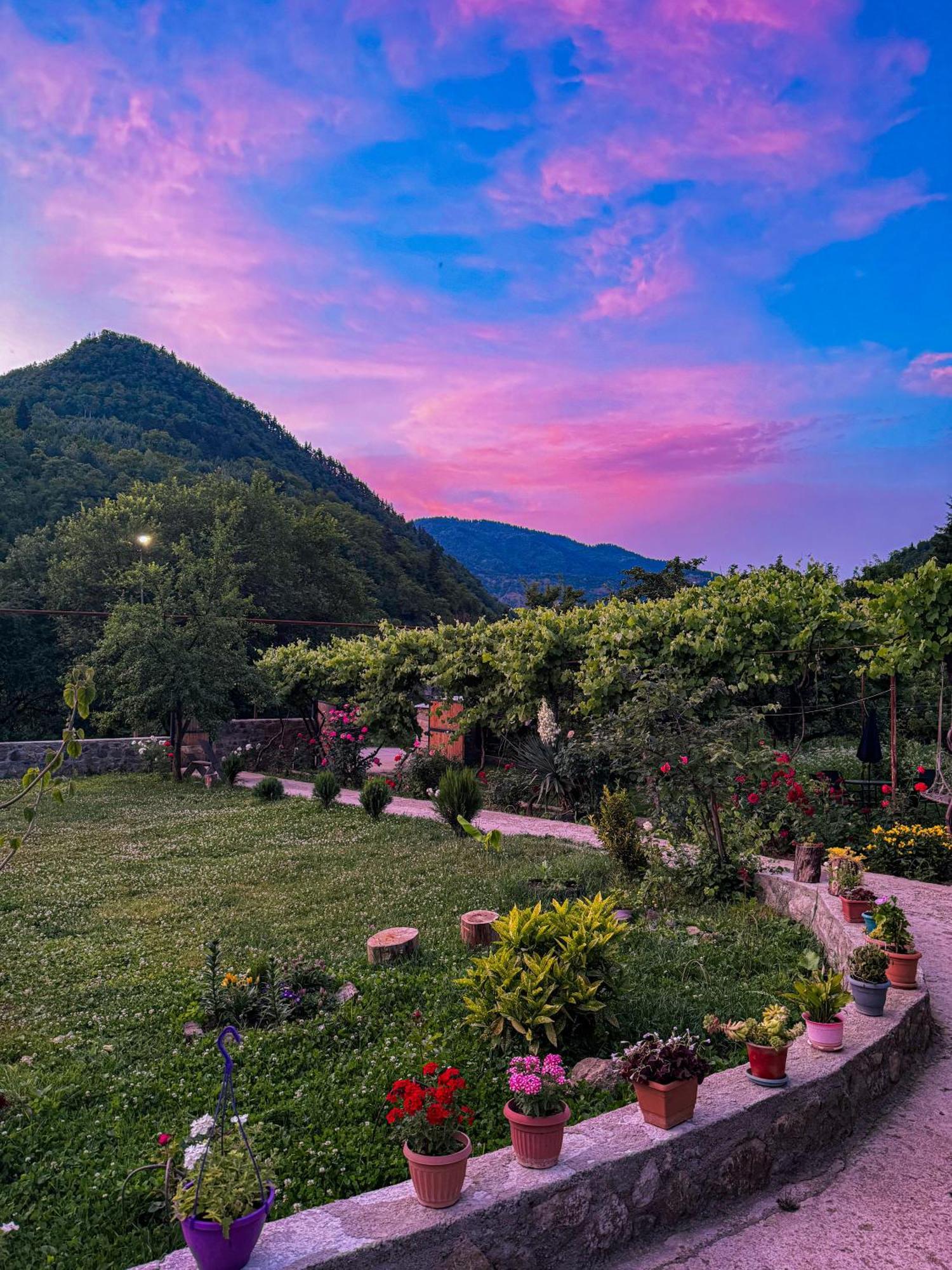 White House In Borjomi Hotel Exterior photo