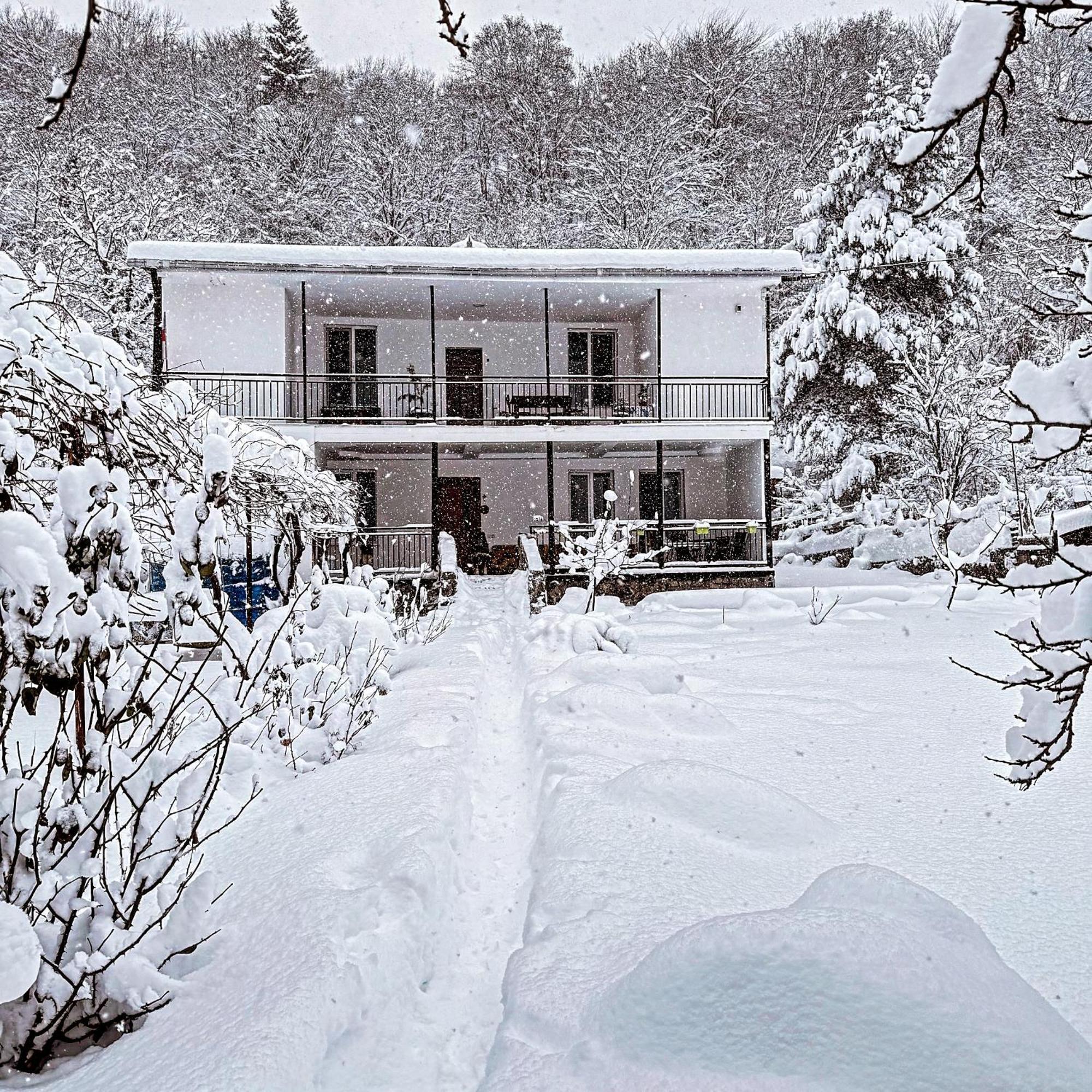 White House In Borjomi Hotel Exterior photo